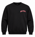 TS1951 Maluku Crewneck Sweater – Black
280 GSM · Regular fit · Geborduurd borstlogo